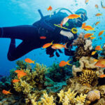 Dubai-Scuba-Diving