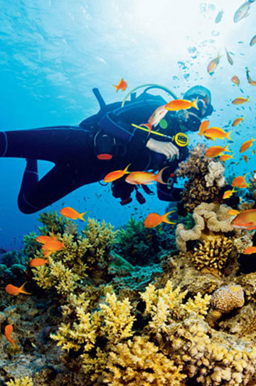 Dubai-Scuba-Diving
